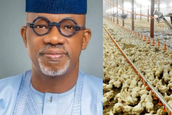 Ogun Poulrty project